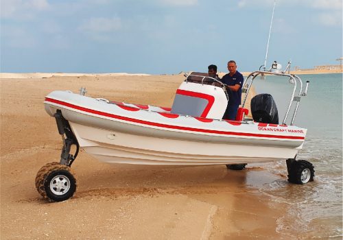 custom-built Recreational Amphibious