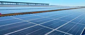 Sustainability